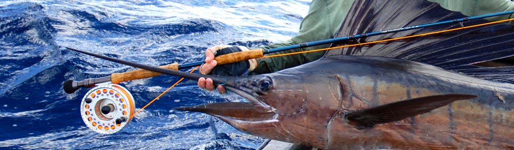 banner image - fishing and spearfishing