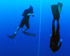 Go to the freediving image gallery